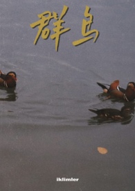 群鸟飞过湖面造句