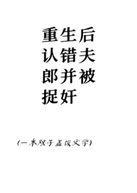 重生后认错夫郎并被捉奸（1v2/双子盖饭）